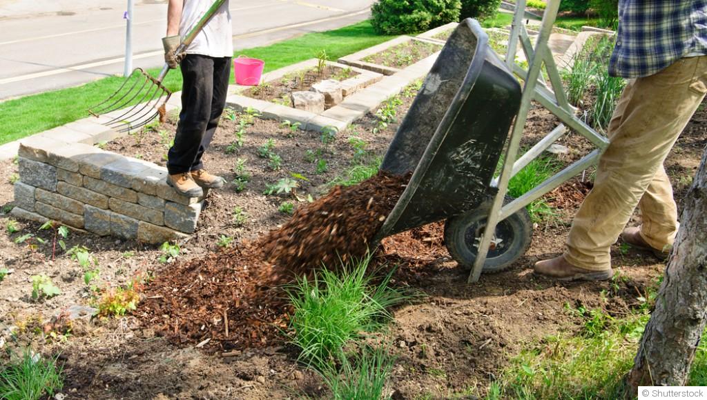 Par où commencer quand on veut jardiner ?