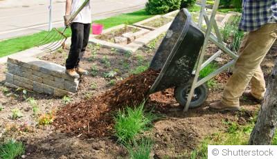Par où commencer quand on veut jardiner ?