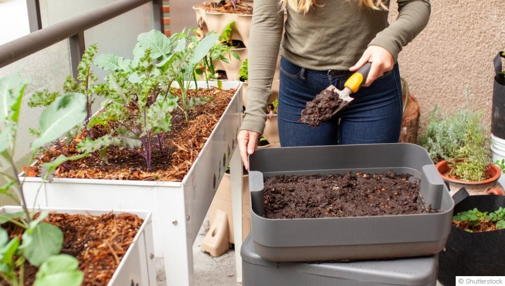 Comment commencer un petit jardin chez soi