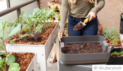 Comment commencer un petit jardin chez soi