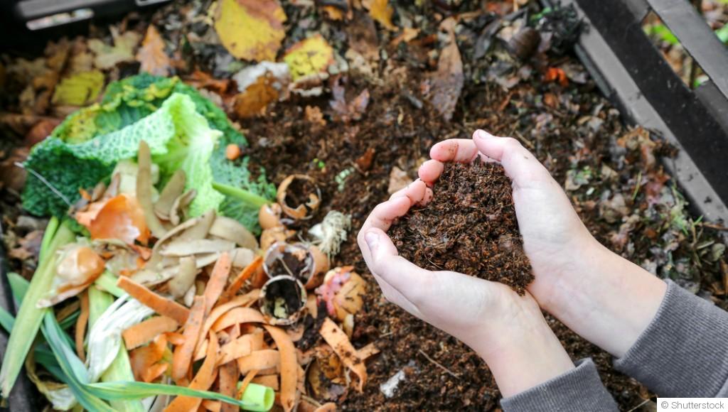 Mon premier compost : mode d’emploi sans prise de tête