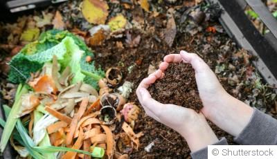 Mon premier compost : mode d’emploi sans prise de tête