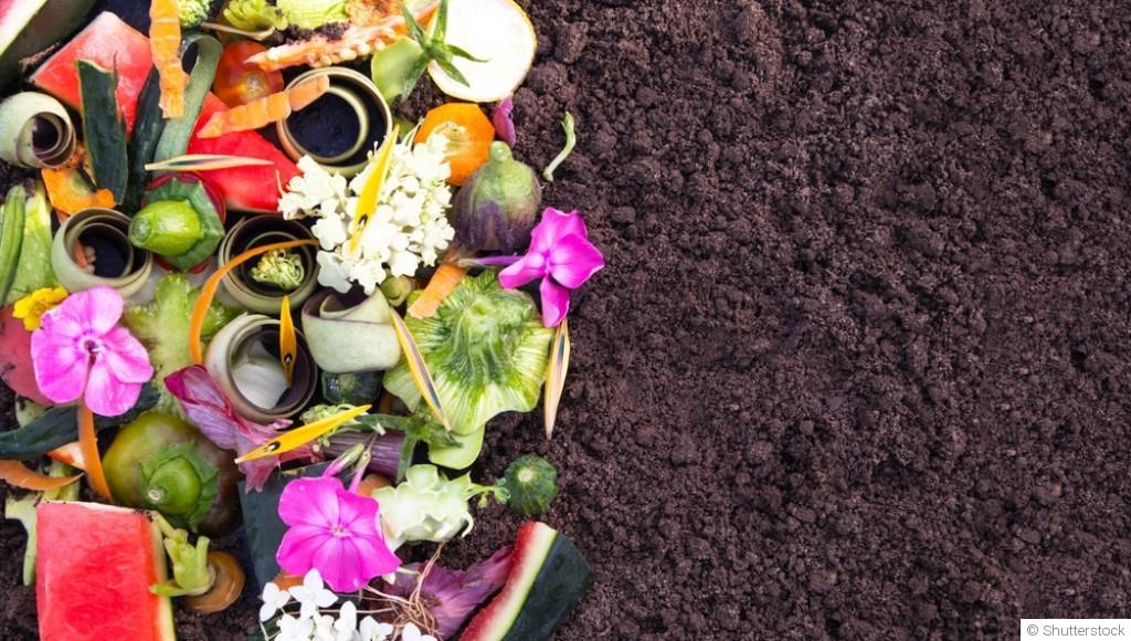 Compost maison : transformez vos déchets en or pour le potager