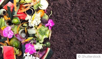 Compost maison : transformez vos déchets en or pour le potager