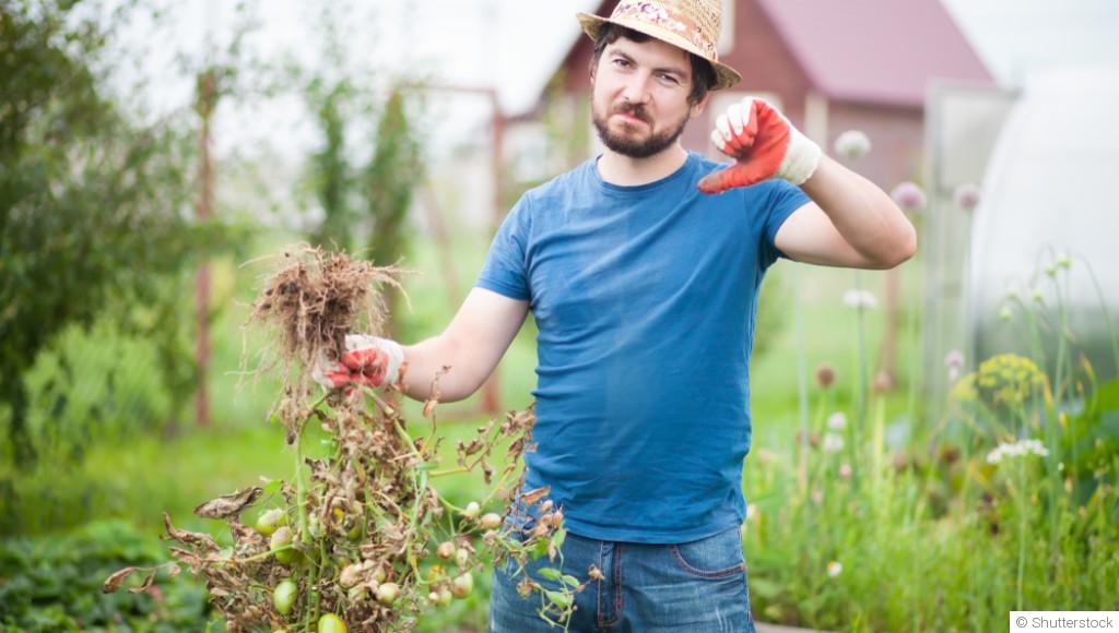 5 erreurs fréquentes à éviter quand on débute au potager