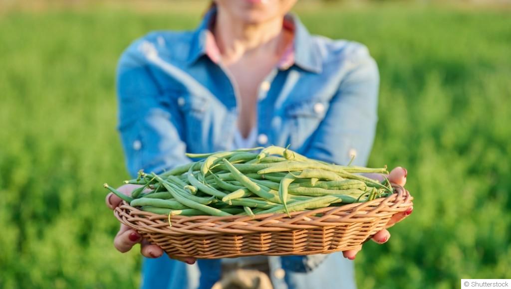 5 légumes ultra simples à cultiver quand on débute