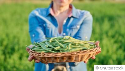 5 légumes ultra simples à cultiver quand on débute