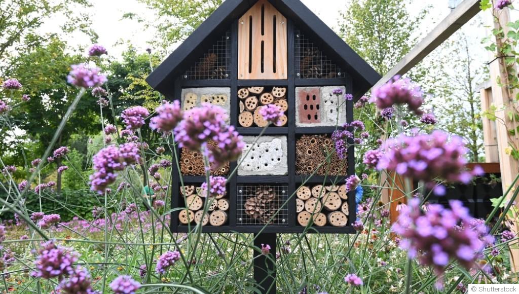 Hôtels à insectes : utiles ou gadgets ?