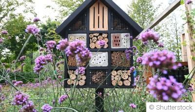 Hôtels à insectes : utiles ou gadgets ?