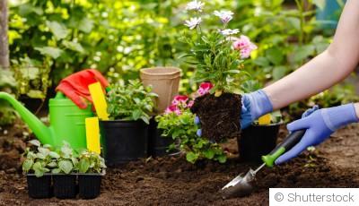 Réussir son jardin sans pesticide : c’est possible !
