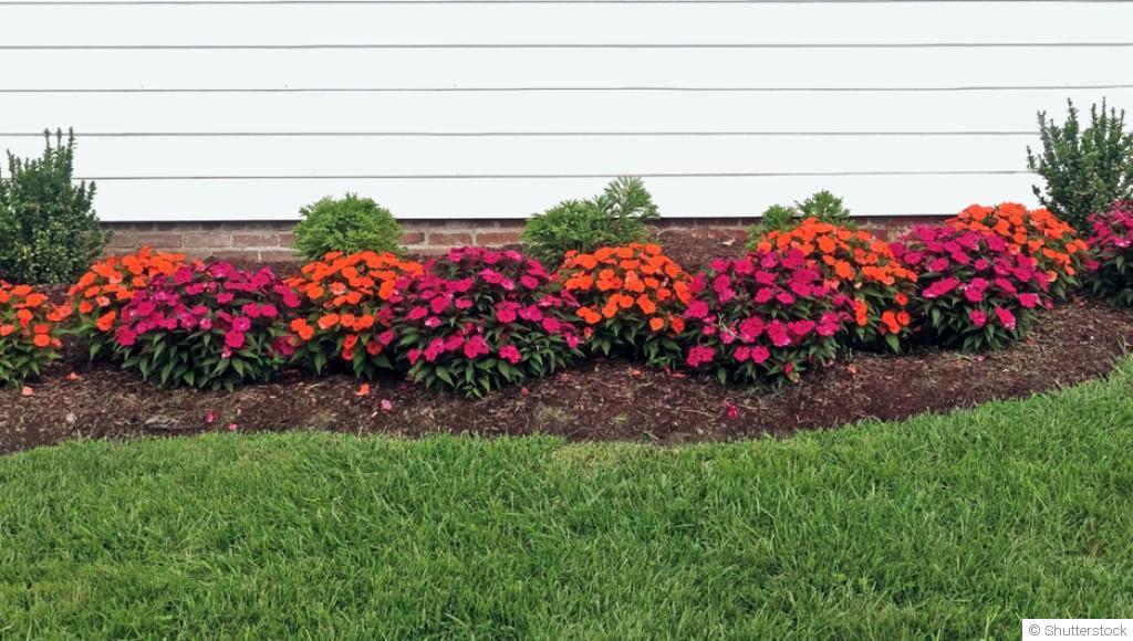 Jardin fleuri toute l’année : le secret des bonnes associations