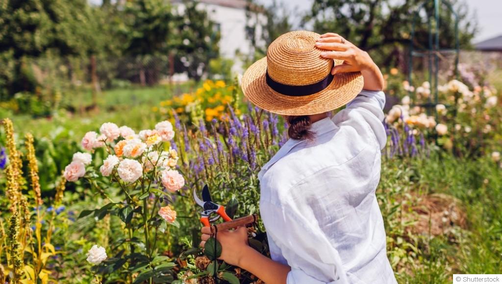 ☀️ Jardinage par forte chaleur : que faire (et ne pas faire) quand il fait très chaud ? 🌿💧