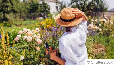☀️ Jardinage par forte chaleur : que faire (et ne pas faire) quand il fait très chaud ? 🌿💧