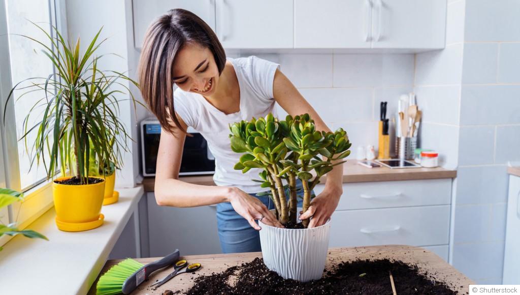 Jardiner quand on n’a pas la main verte : c’est possible !