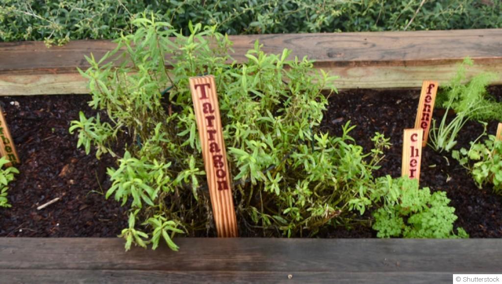 Jardiner sans se ruiner : astuces récup et zéro déchet au jardin