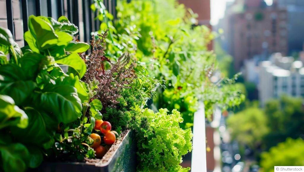 Petit espace, grand effet : jardiner même sur un balcon