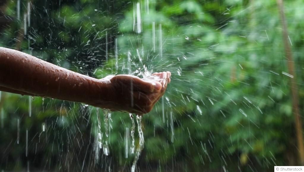 Recycler l’eau de pluie au jardin : astuces simples à mettre en place