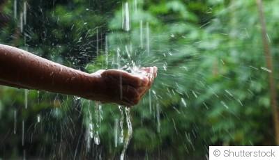 Recycler l’eau de pluie au jardin : astuces simples à mettre en place