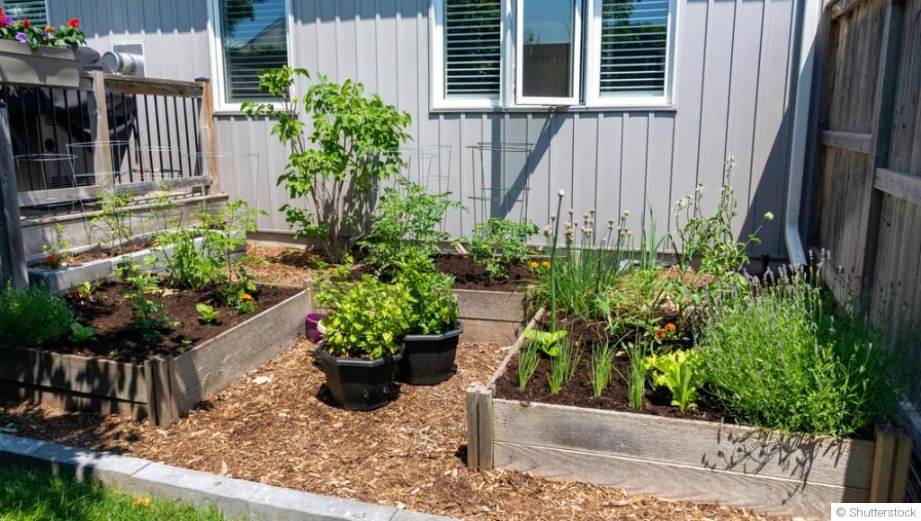 Un week-end, un projet : créez votre mini-potager en carré