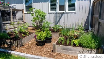 Un week-end, un projet : créez votre mini-potager en carré