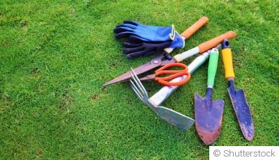Les outils indispensables pour bien débuter au jardin