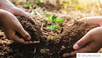 Que faire au jardin ce dimanche ? Le mémo du mois