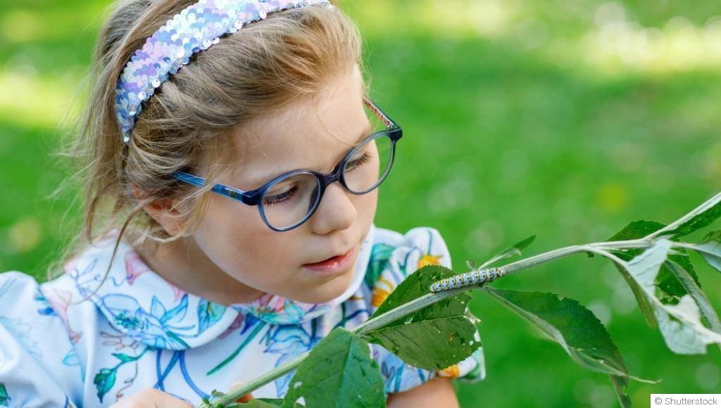 Qui dort dans mon potager ? Insectes utiles et autres squatteurs