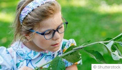 Qui dort dans mon potager ? Insectes utiles et autres squatteurs