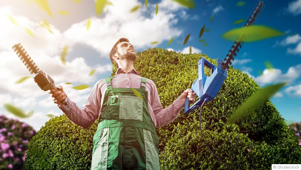 Les meilleurs moments pour tailler sans abîmer