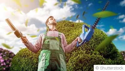 Les meilleurs moments pour tailler sans abîmer