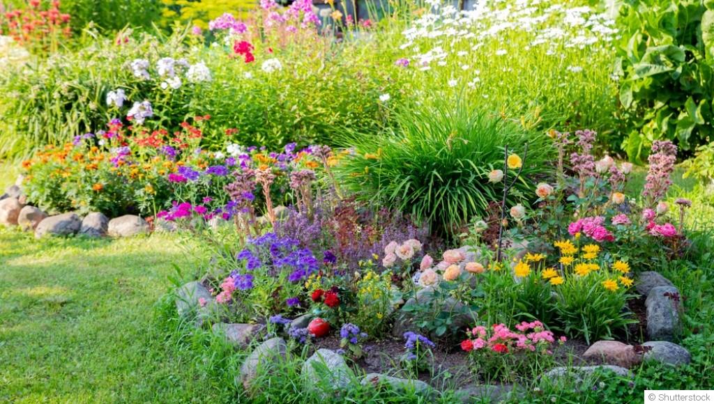 Créer un massif simple avec peu d’entretien