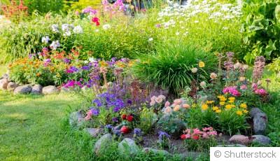 Créer un massif simple avec peu d’entretien