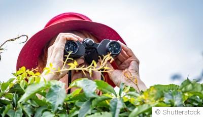 Les voisins vont être jaloux : mon jardin en 5 idées faciles