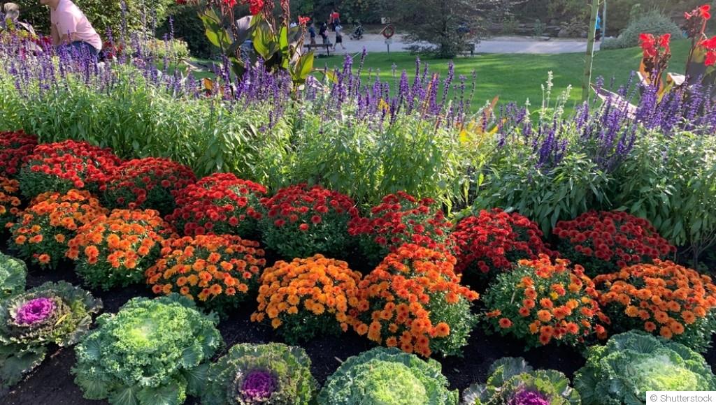 Comment avoir un massif fleuri toute l’année ?