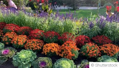Comment avoir un massif fleuri toute l’année ?