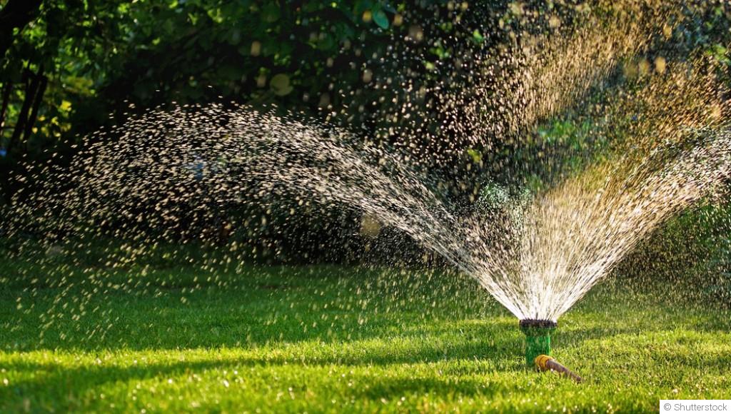 Arrosage : comment ne pas en faire trop (ou pas assez)