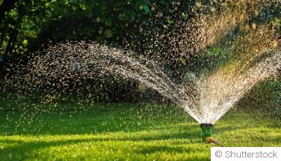 Arrosage : comment ne pas en faire trop (ou pas assez)