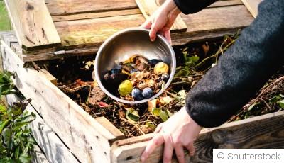 Compost : facile à faire, utile toute l’année