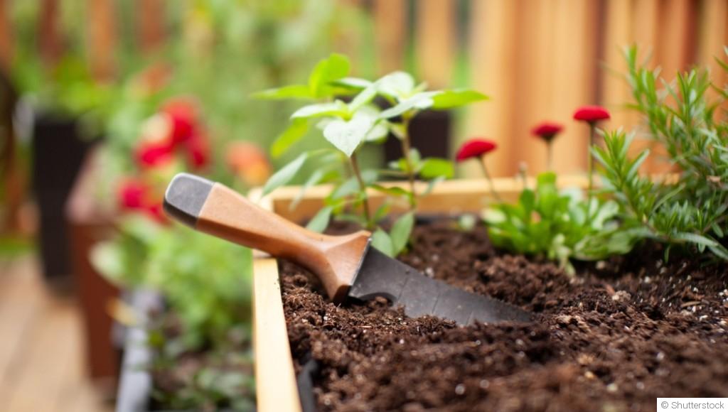 Des idées fleuries pour petits espaces