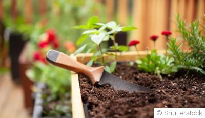 Des idées fleuries pour petits espaces