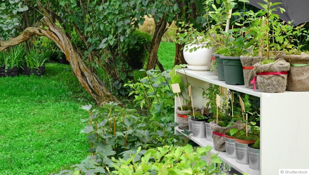 5 astuces pour réussir ses jardinières, même en ville