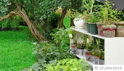 5 astuces pour réussir ses jardinières, même en ville