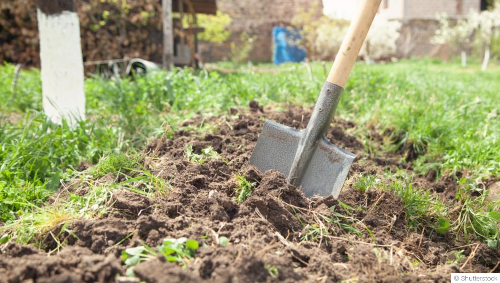 Jardinage facile : 5 choses à faire au printemps