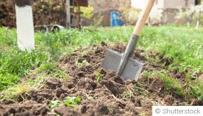 Jardinage facile : 5 choses à faire au printemps