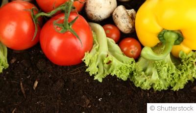 Top 5 des légumes qui poussent sans effort