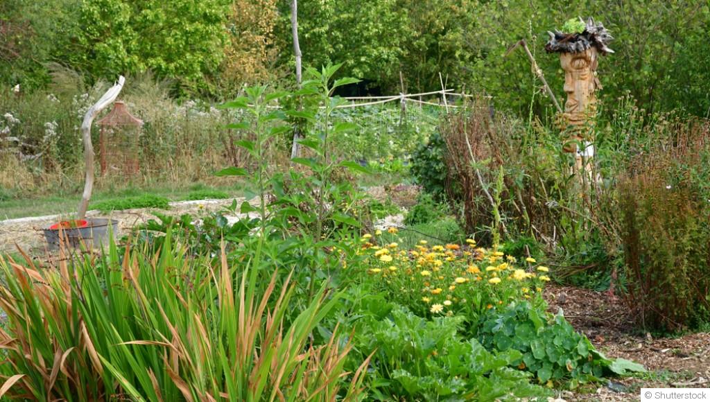 Pourquoi laisser un coin du jardin un peu sauvage ?