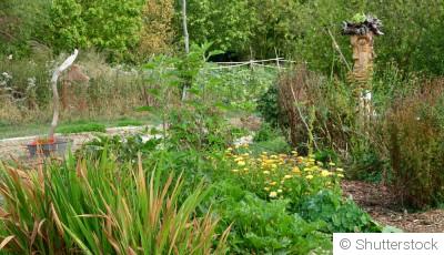 Pourquoi laisser un coin du jardin un peu sauvage ?