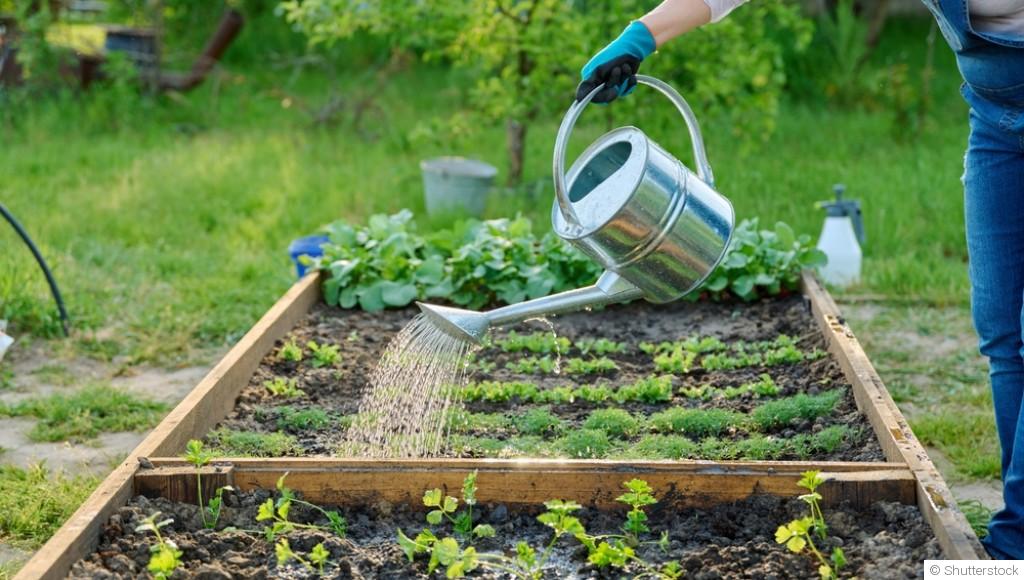 Comment arroser moins et mieux ?