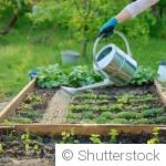 Comment arroser moins et mieux ?