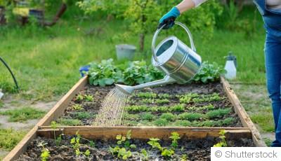 Comment arroser moins et mieux ?